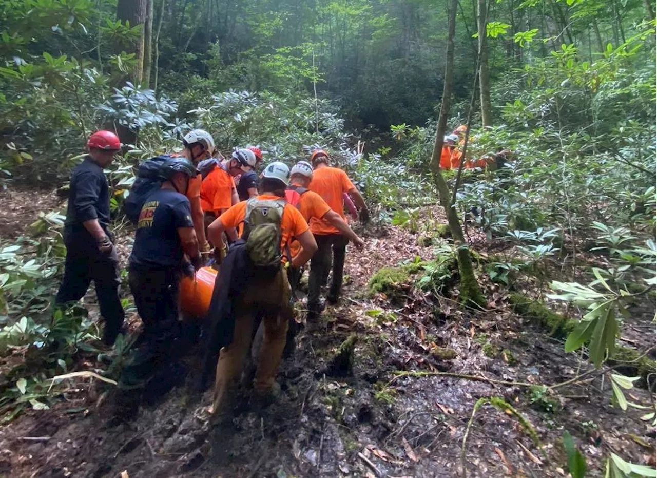 USA: Vermisster nach 14 Tagen im Wald lebend gefunden