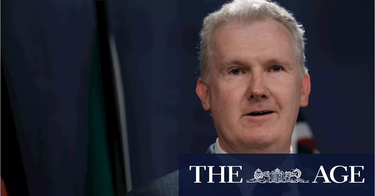 Tony Burke’s new ‘super portfolio’: Immigration and home affairs shift hands in reshuffle