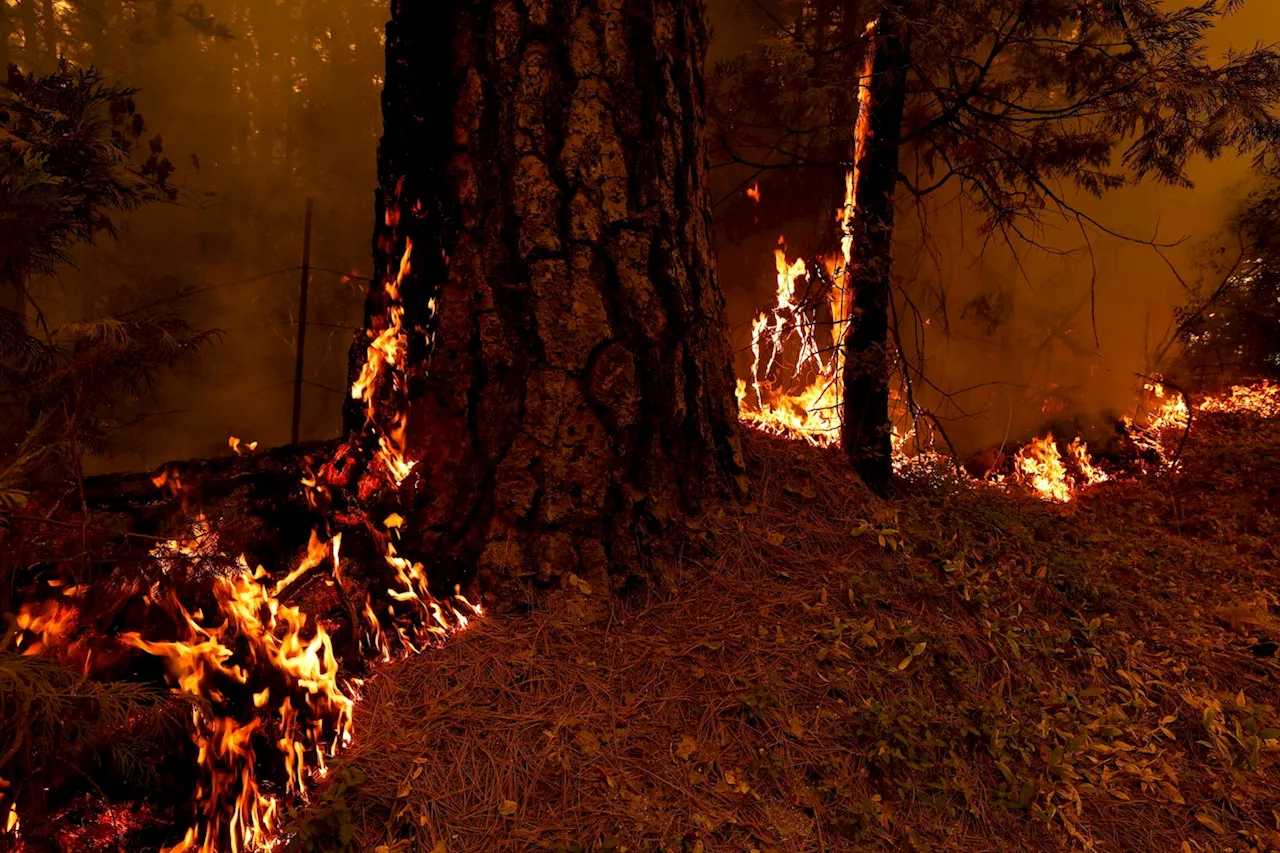 Cooler weather aids California firefighters battling massive Park Fire