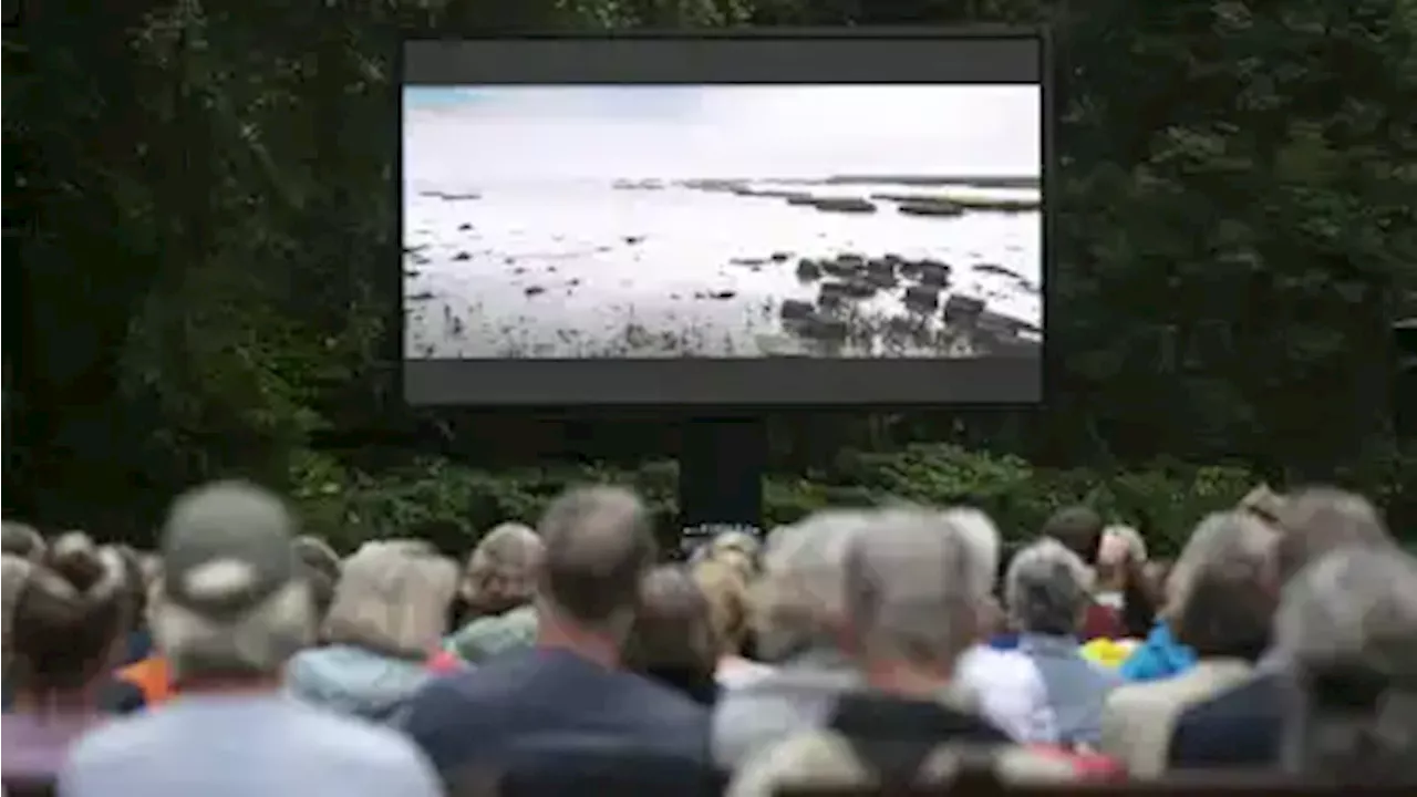 Freilichtkino Lesum: 'Der Atem des Meeres' zeigt Wattenmeer-Eindrücke