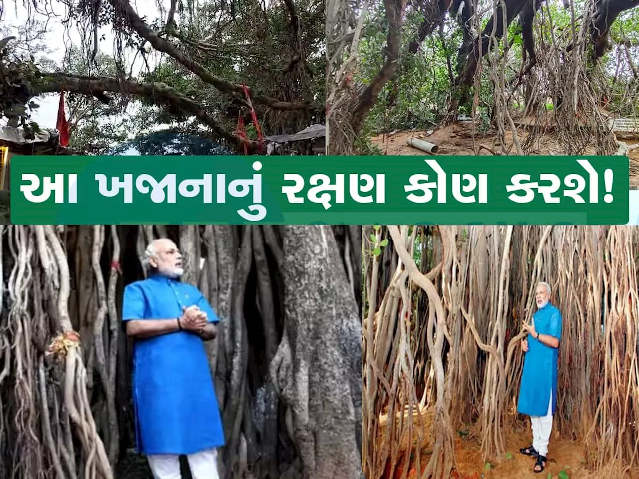 પ્રધાનમંત્રી મોદીના ગમતા વડની વડવાઈઓ તૂટી, ડ્રીમ પ્રોજેક્ટ બરબાદ થયો