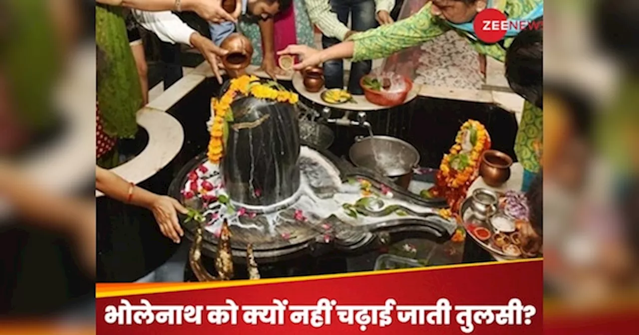 Lord Shiva Puja Rules: भगवान शिव की पूजा में आखिर क्यों अर्पित नहीं की जाती तुलसी?