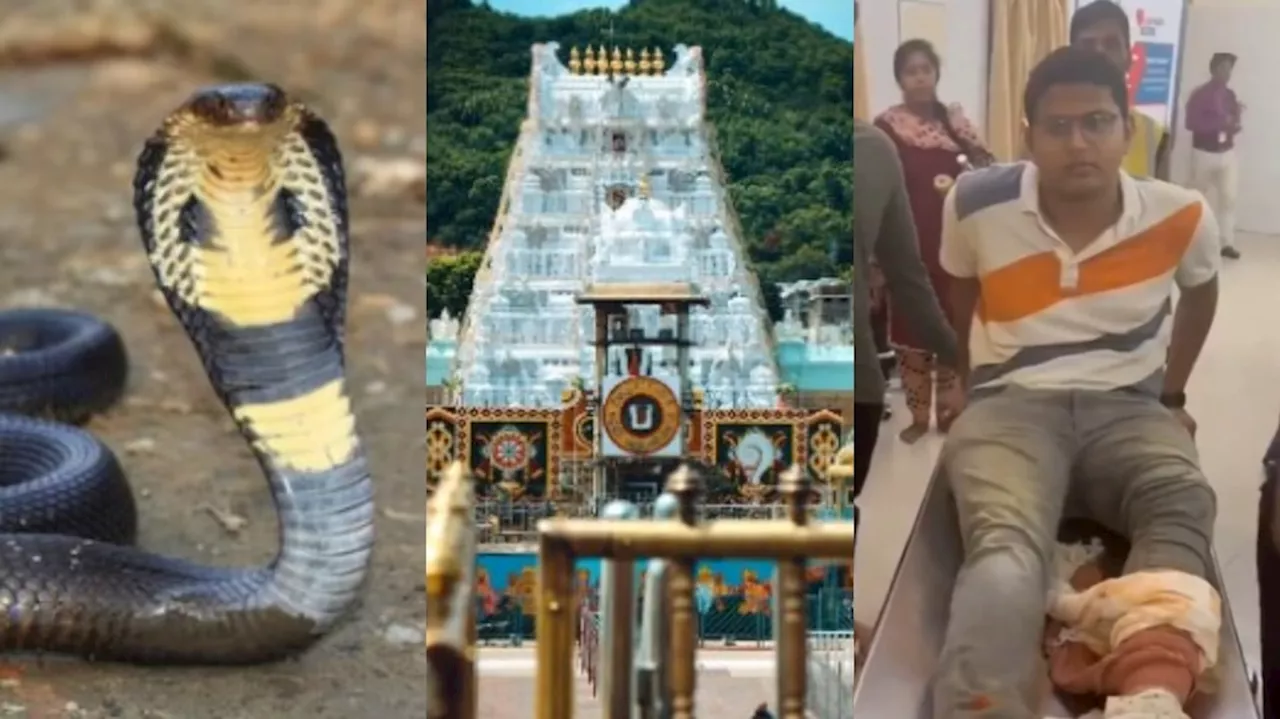 Tirumala: తిరుమలలో షాకింగ్ ఘటన.. అలిపిరి వద్ద పాముకాటుకు గురైన భక్తుడు..అసలేం జరిగిందంటే..?