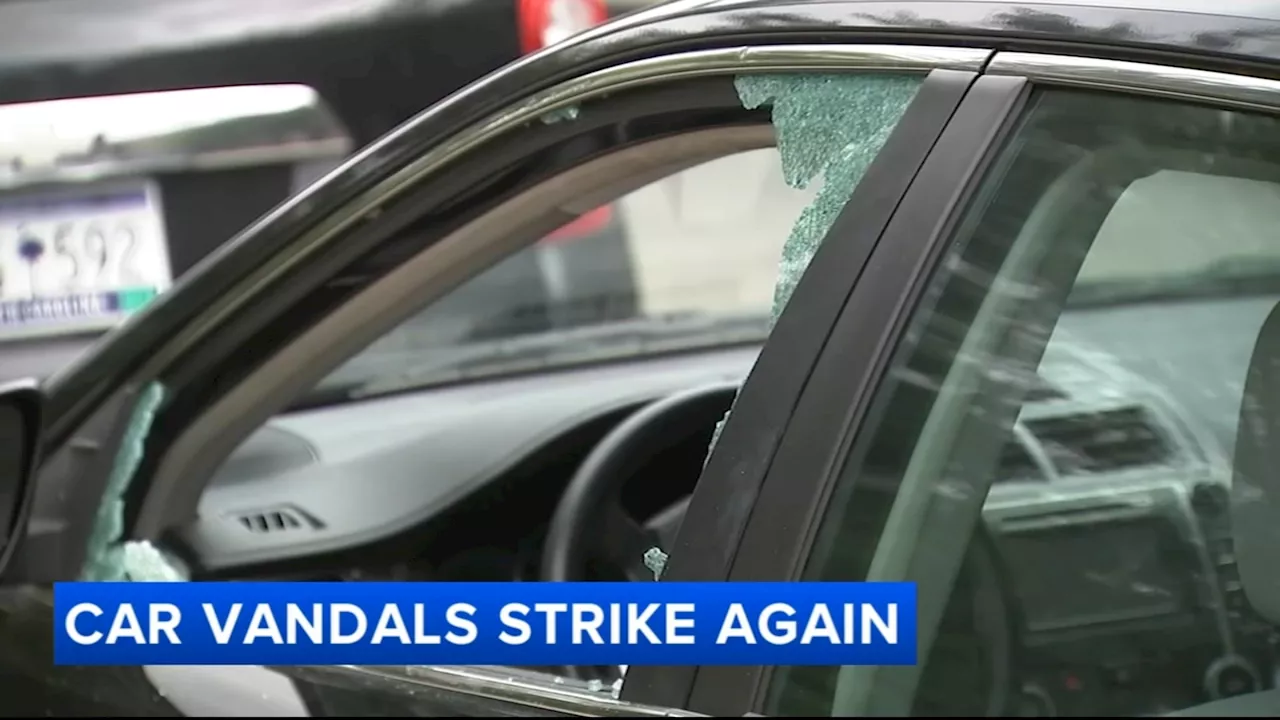 At least 12 cars ransacked during vandalism spree in Center City