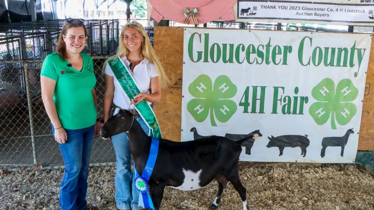 The Gloucester County 4-H Fair spotlights hard work from local youth