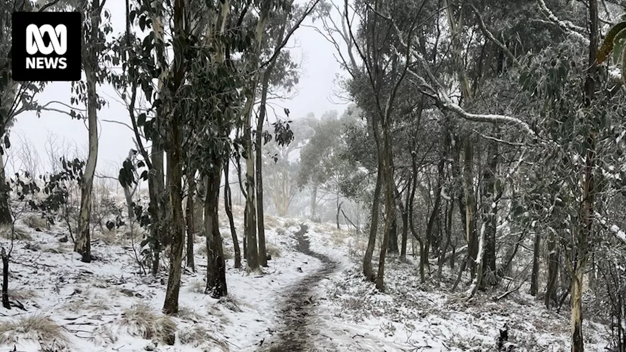 Record breaking sub-zero temperatures expected in NSW tomorrow