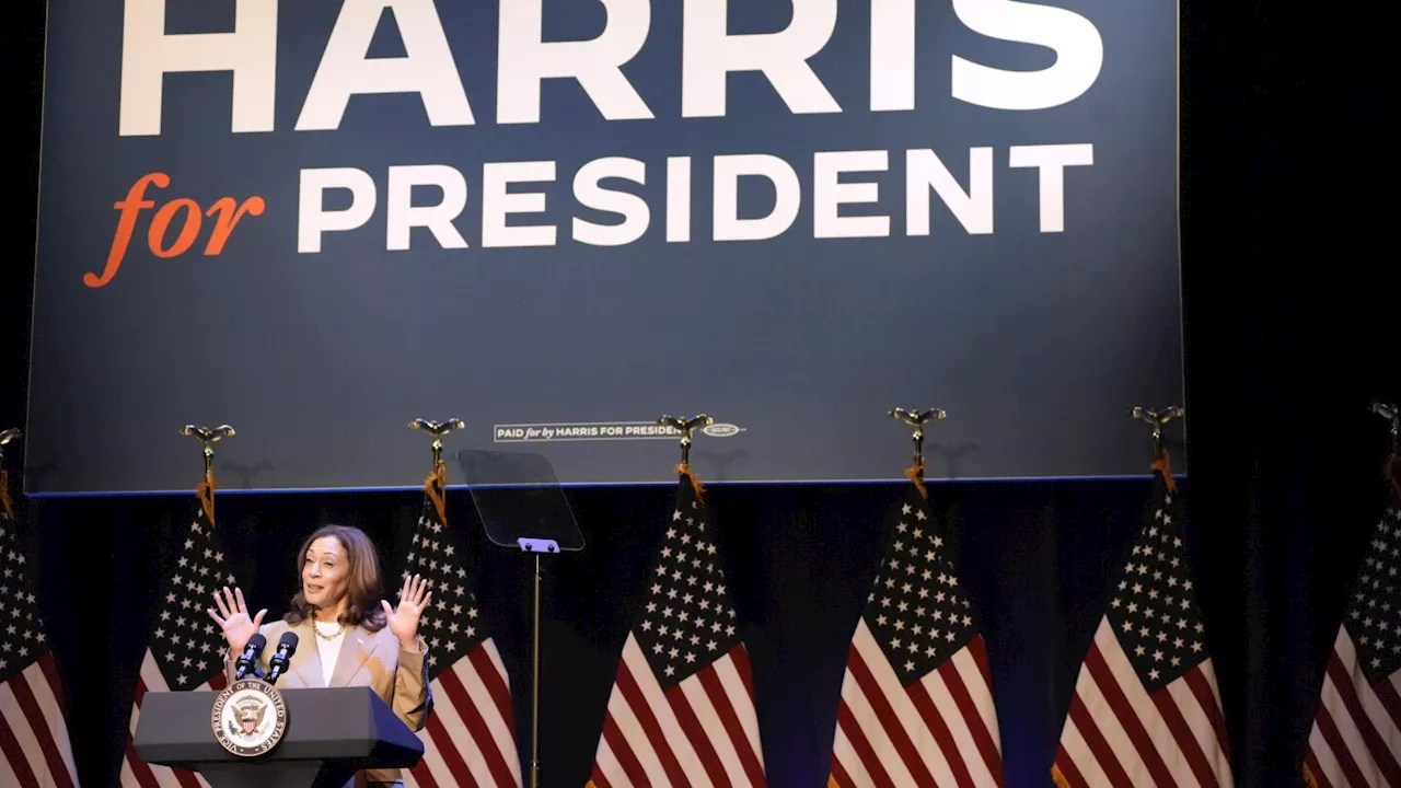 'White Dudes for Harris' is the latest in a series of Zoom gatherings backing the vice president