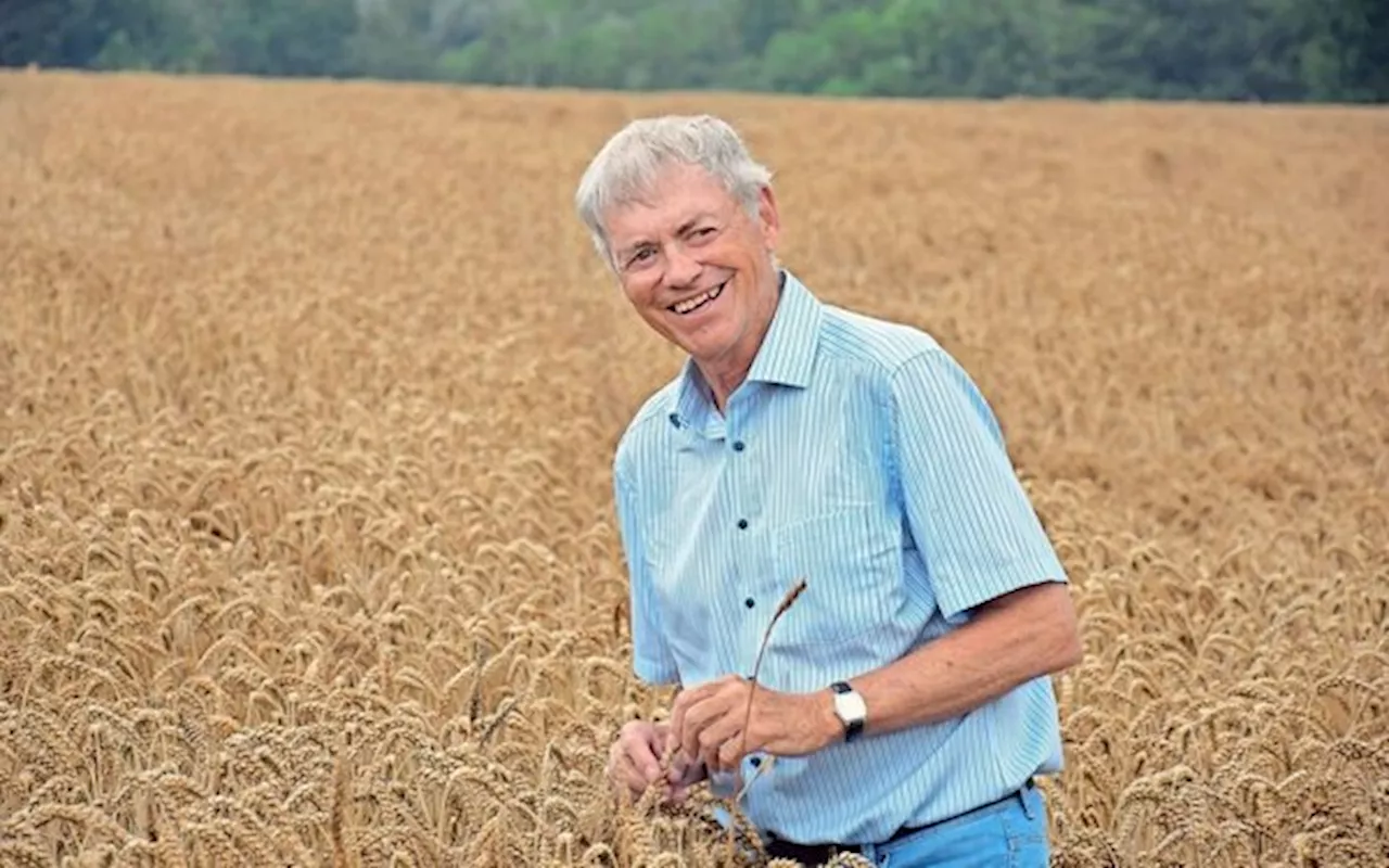 Hans Winzeler im Hanswin – Gespräch mit einem Getreidezüchter am Feldrand