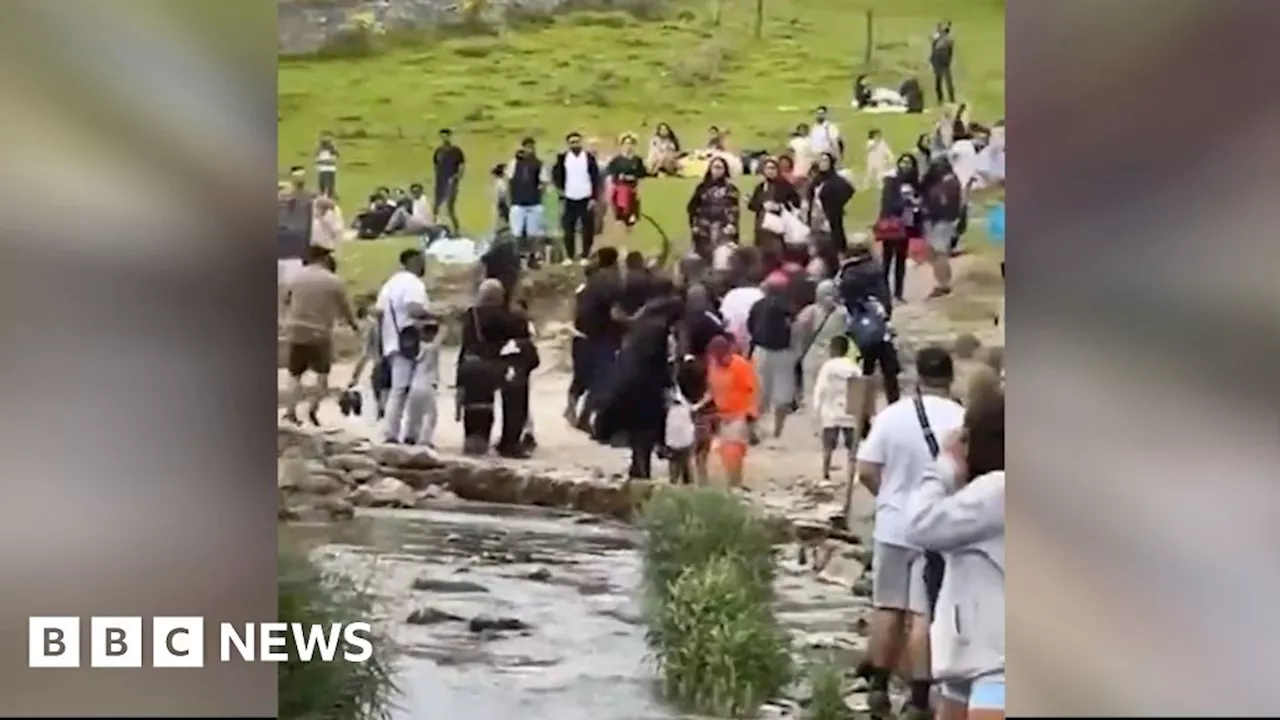 Dovedale: Peak District beauty spot sees mass brawl