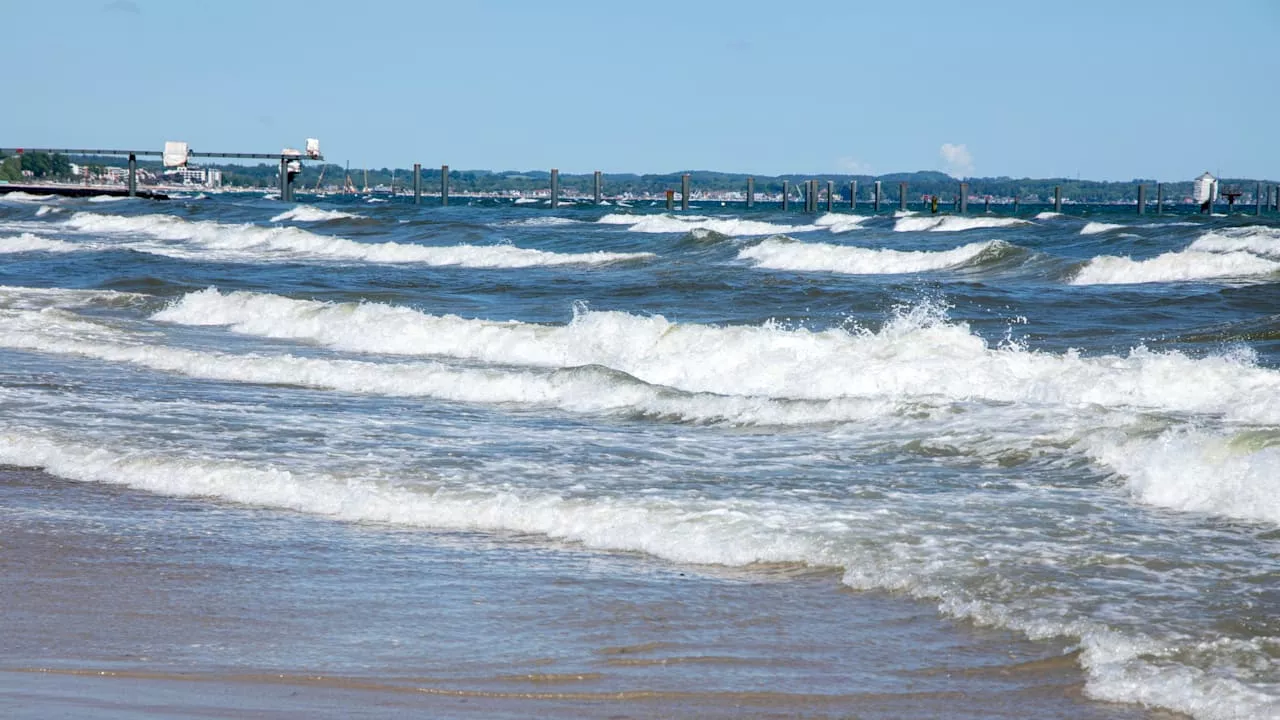 Vibrionen in der Ostsee: So gefährlich ist eine Infektion