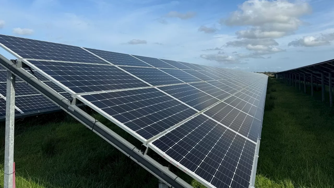 Größter Solarpark Oberfrankens eingeweiht