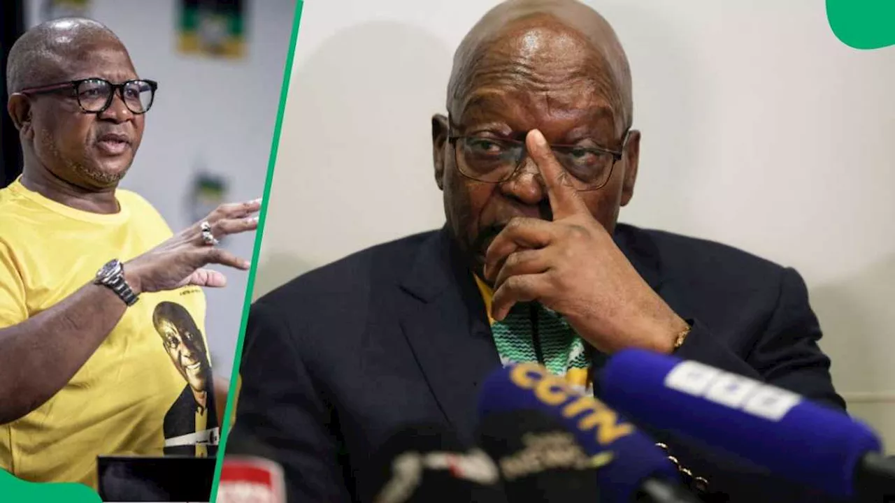 ANC Secretary-General Fikile Mbalula Calls Jacob Zuma Dangerous After Expulsion