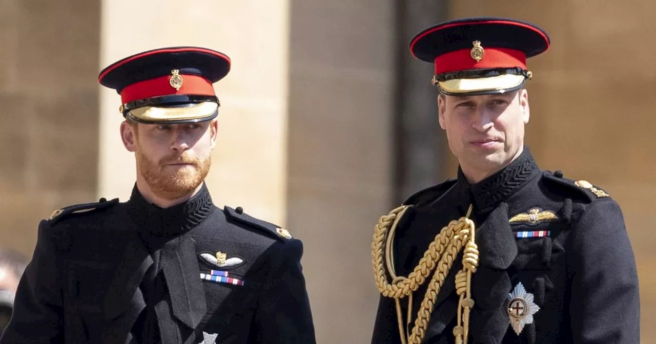 Prinz William und Prinz Harry: Streit um Dianas Juwelen