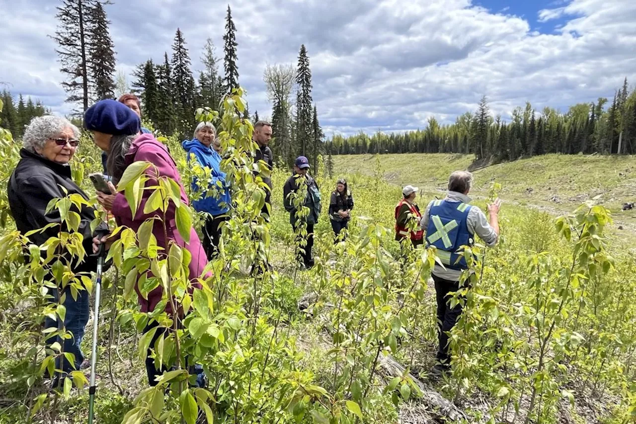 Ten years on, Imperial Metals still recovering from Mount Polley disaster