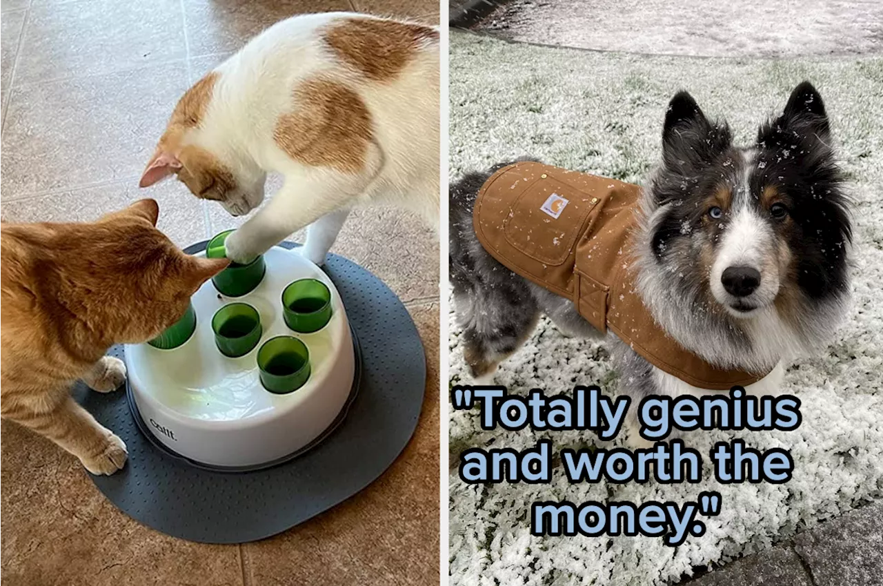 30 Pet Products Reviewers Call “Genius”