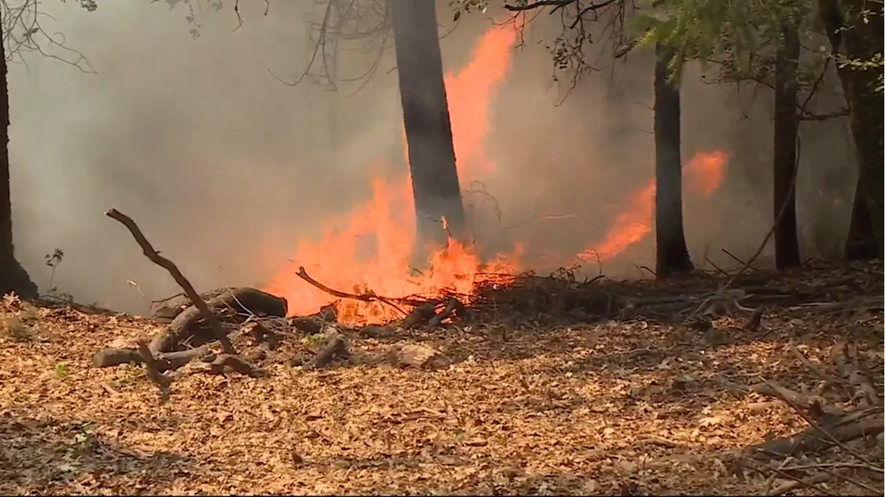 Gov. Abbott deploys firefighters and engines to combat California wildfires