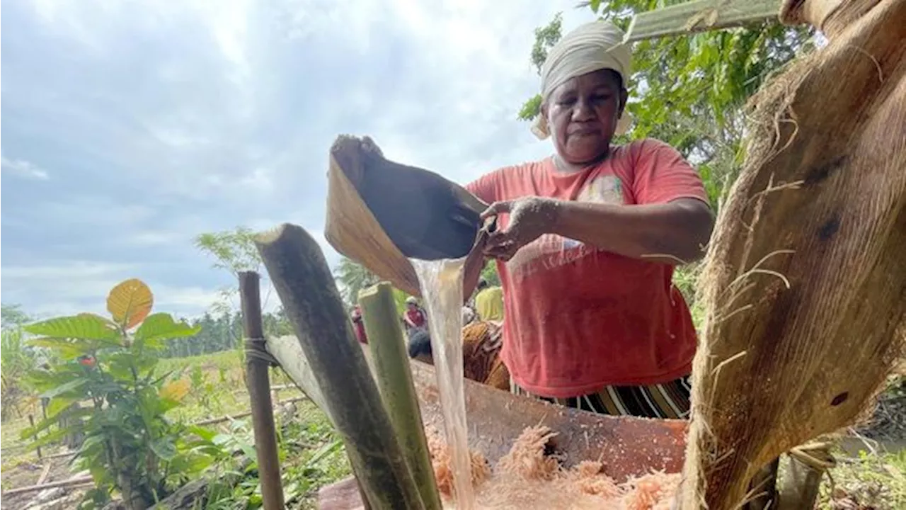 RI Punya Potensi Lahan Sagu Terbesar Di Dunia, Ini Lokasinya