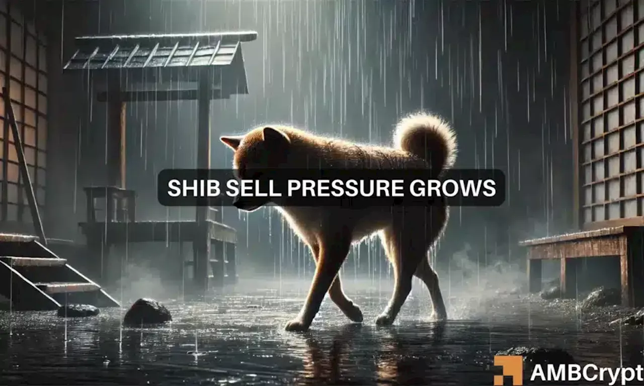 Shiba Inu price prediction: Why August could be risky for SHIB traders