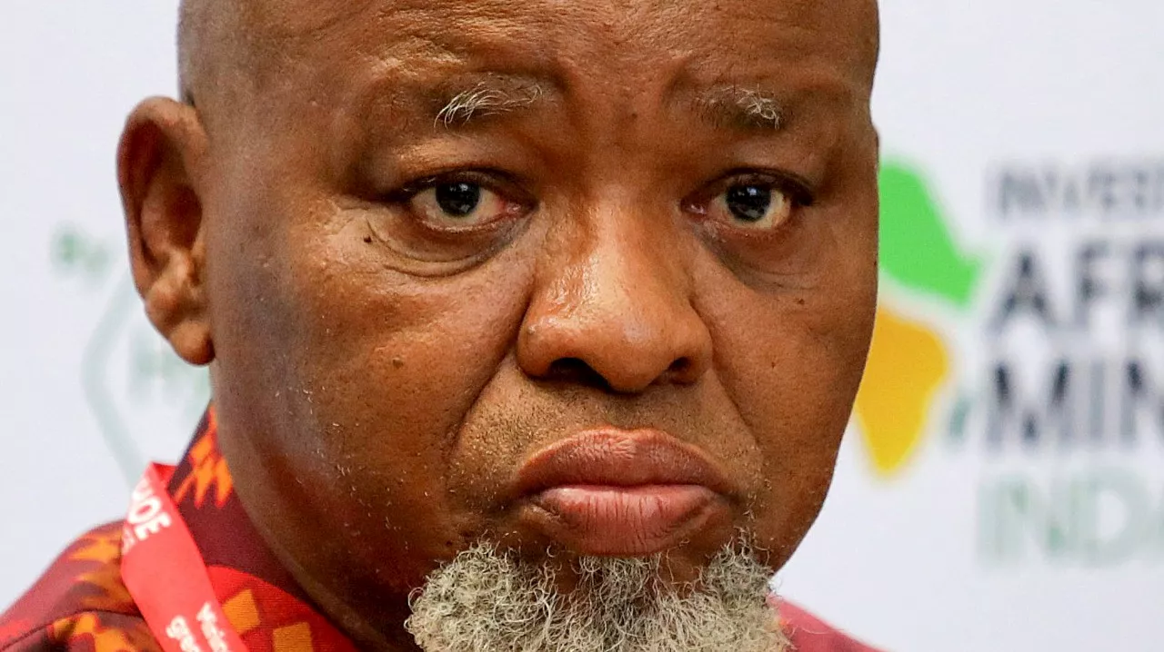 Blow to Mantashe as Total pulls out of Brulpadda and Luiperd gas discoveries off SA, citing no commercial case