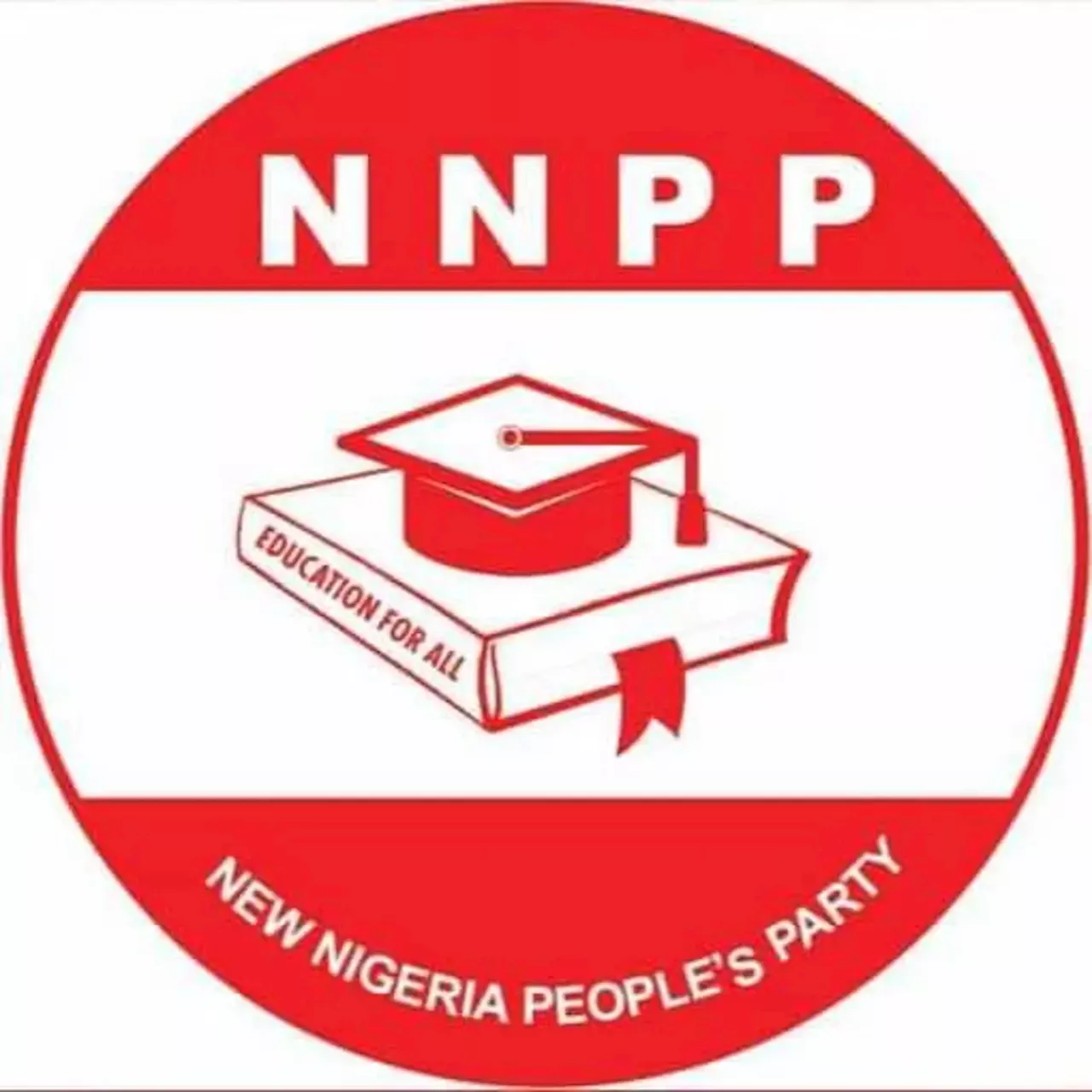 Don’t allow hoodlums to hijack protest, be peaceful – NNPP chieftain tells Nigerian youths