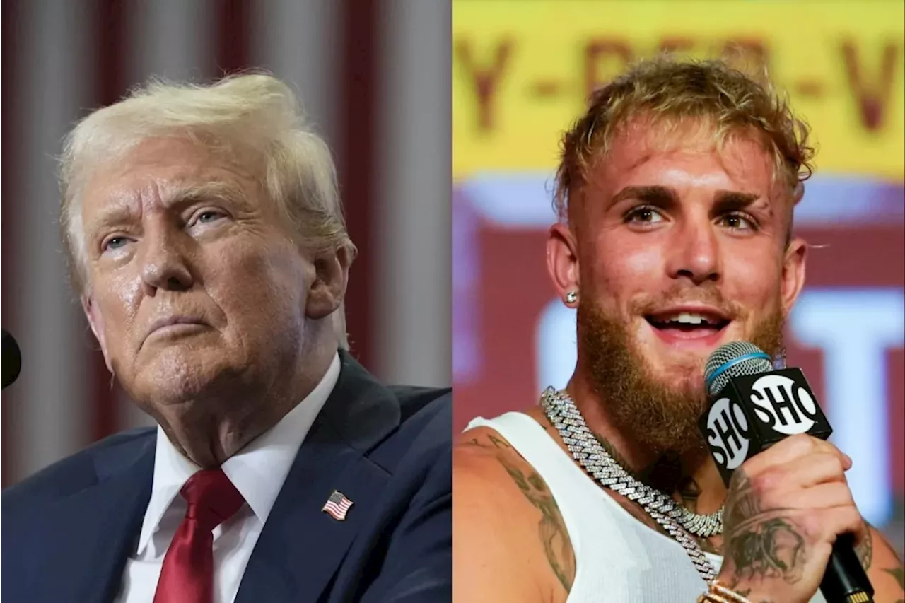 Trump unites with Jake Paul to tease ‘another knockout’ in TikTok video