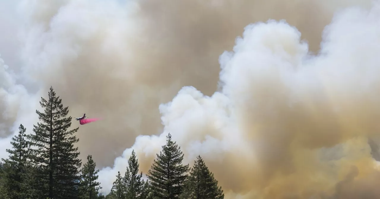 Wildfire smoke linked to increased risk of dementia compared to other pollutants