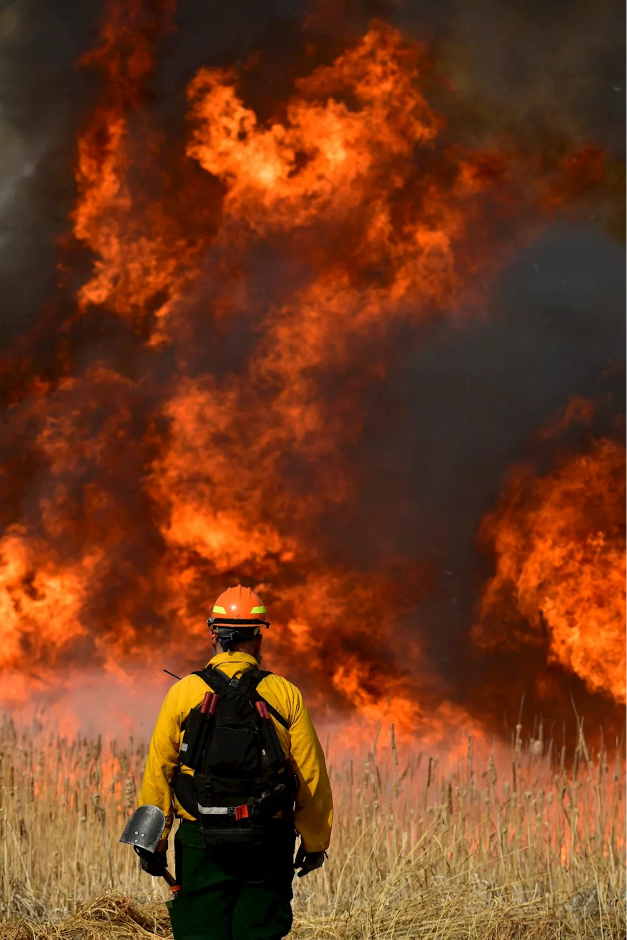 Mandatory evacuations ordered for Alexander Mountain fire in Larimer County