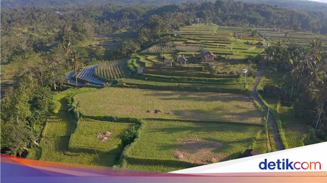 Mengenal Desa Angseri, Desa BRILiaN dengan Tata Kelola Terbaik di Bali