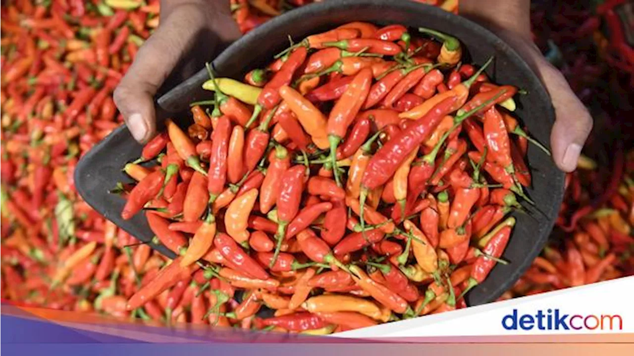 Ternyata Ini Biang Kerok Harga Cabai Rawit Merah Tembus Rp 100.000/Kg