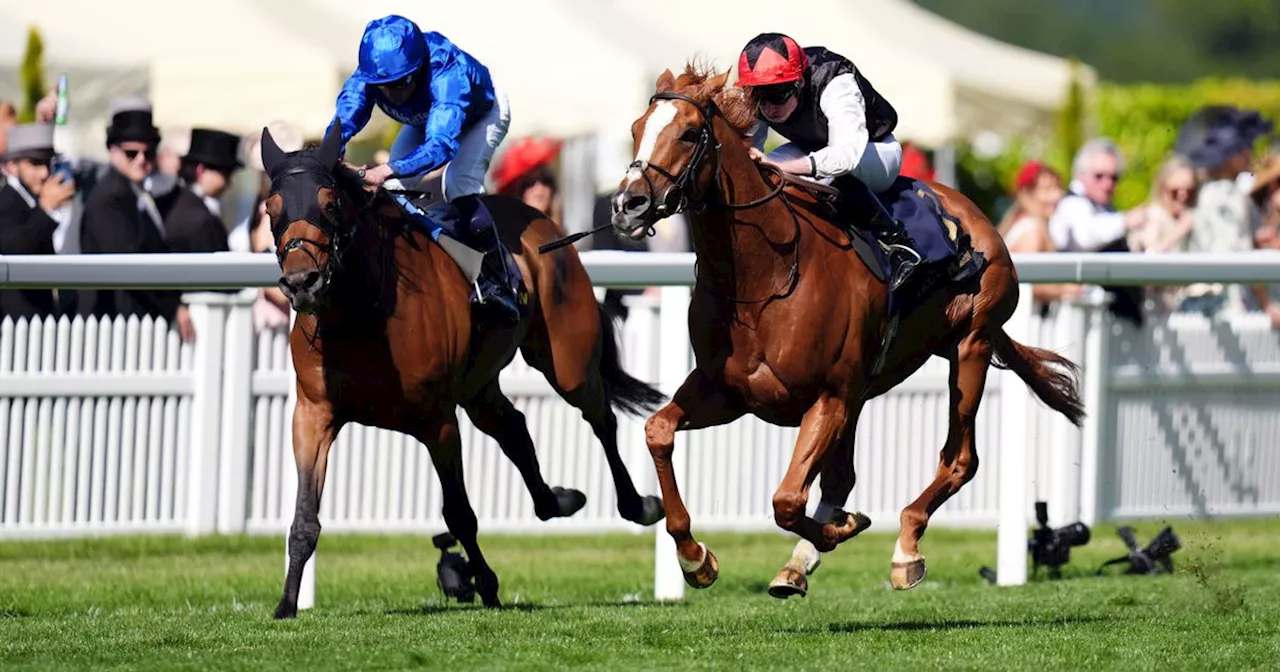 Glorious Goodwood 2024 day one: Kyprios can win the Goodwood Cup again