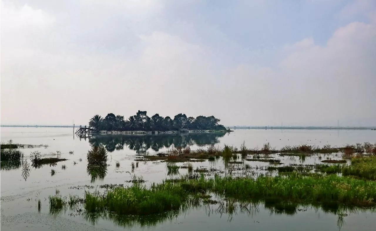 Hasta practican yoga en el parque Lago de Texcoco