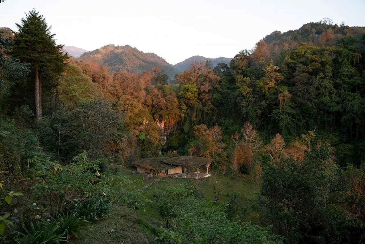 Lánzate a las cabañas de Pilam, en el bosque de niebla de Xico