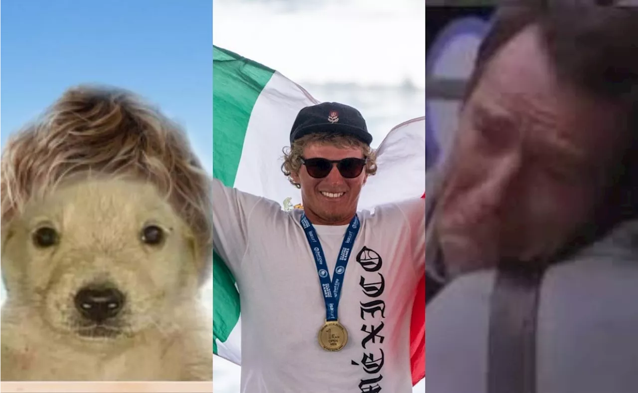 París 2024: Afición mexicana lamenta con MEMES la eliminación de Alan Cleland de los Juegos Olímpicos