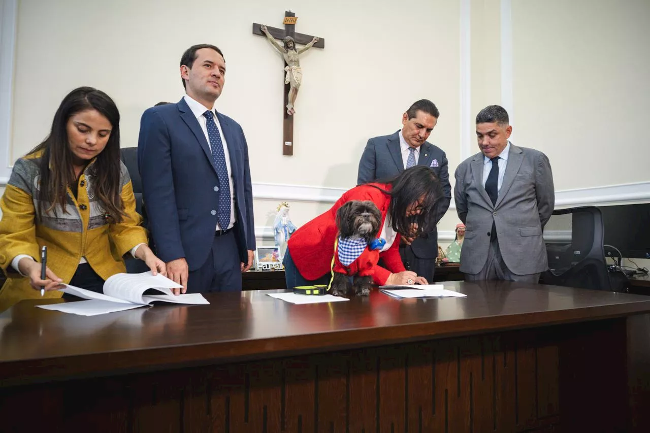 Licencia por muerte de mascotas no busca humanizar a los animales: Vásquez