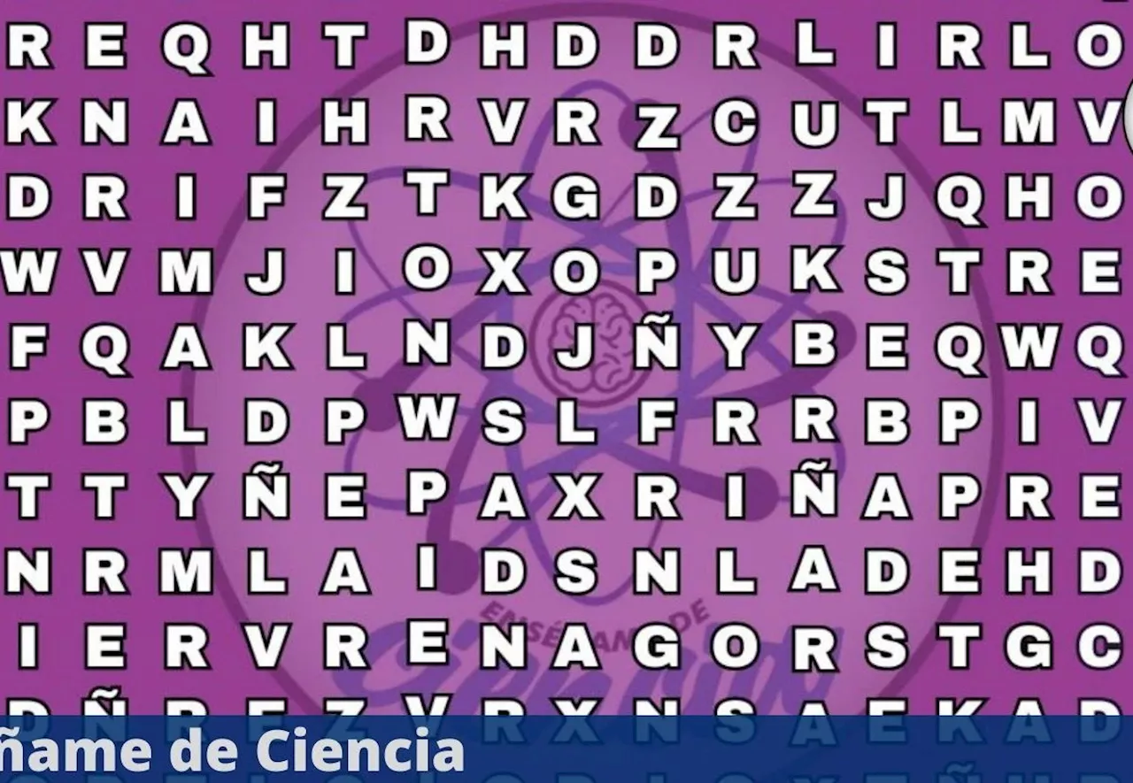 Acertijo visual para PRINCIPIANTES: encuentra la palabra «TORMENTA» en 6 segundos