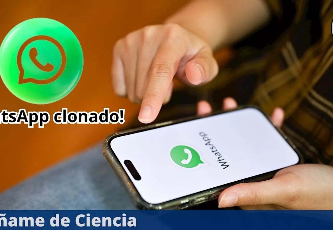 Cómo evitar que clonen tu número de WhatsApp y qué hacer si sucede