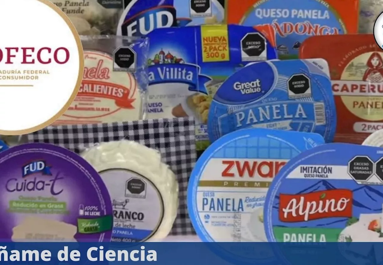 Nadie lo consume pero es el mejor queso panela con más nutrientes, según PROFECO