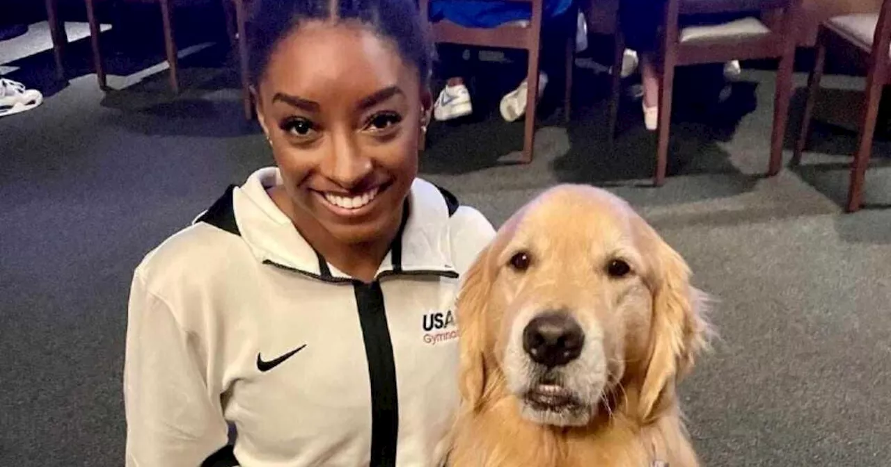 Beacon, el perrito de cuatro años que ayuda a la salud mental de los gimnastas del Team USA