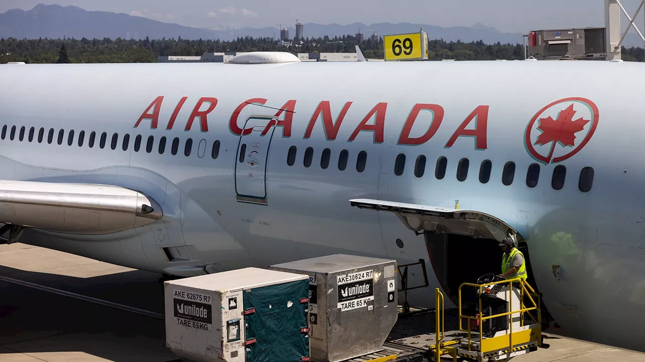 Air Canada flight canceled after flight attendant meltdown caught on video