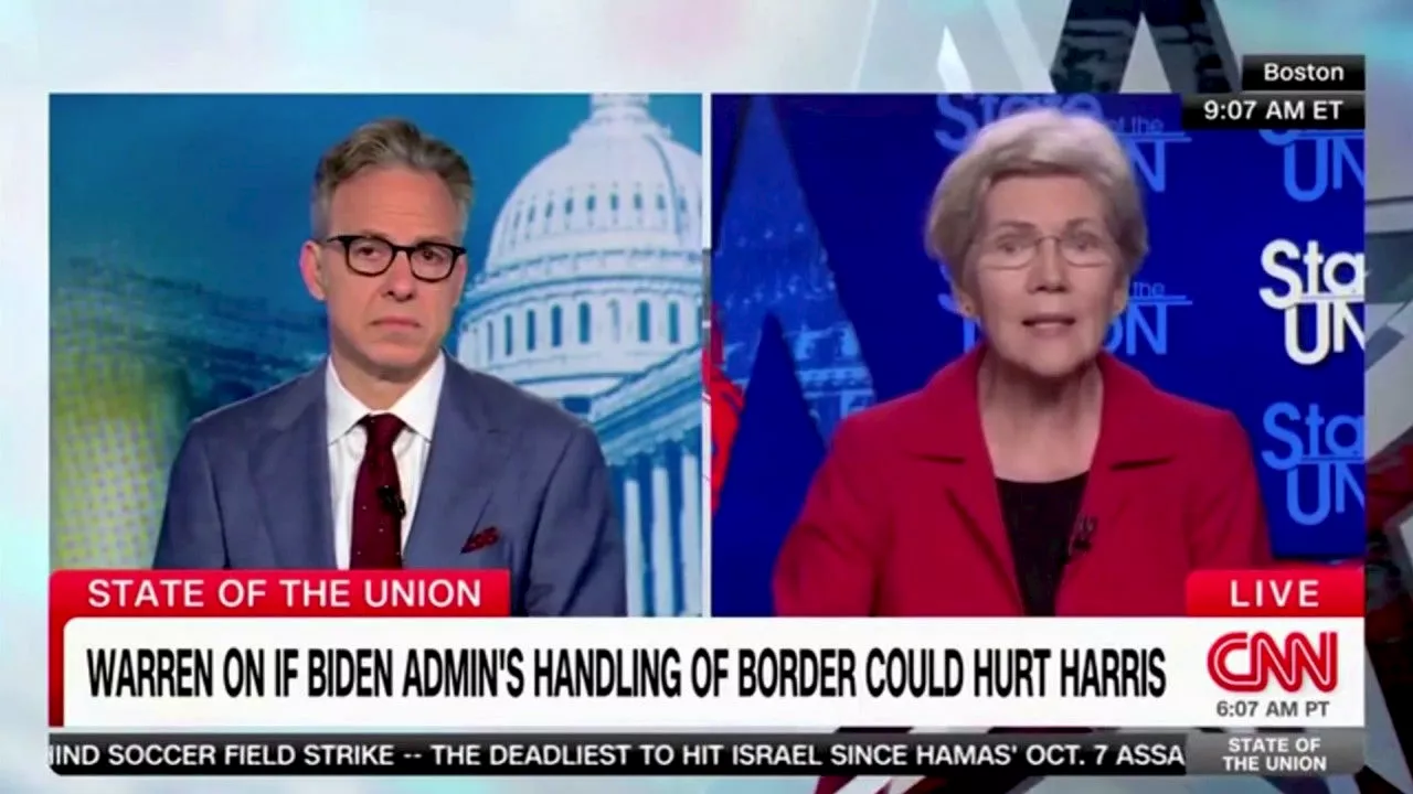 Elizabeth Warren's call for mass citizenship for migrants frustrates social media users: 'Anti-American'