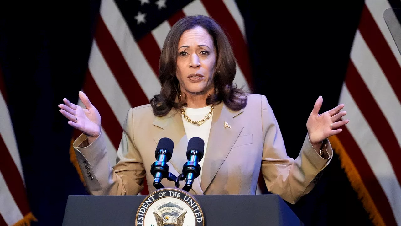 Harris' momentum a reflection of Democrat 'relief' replacing Biden: GOP strategist