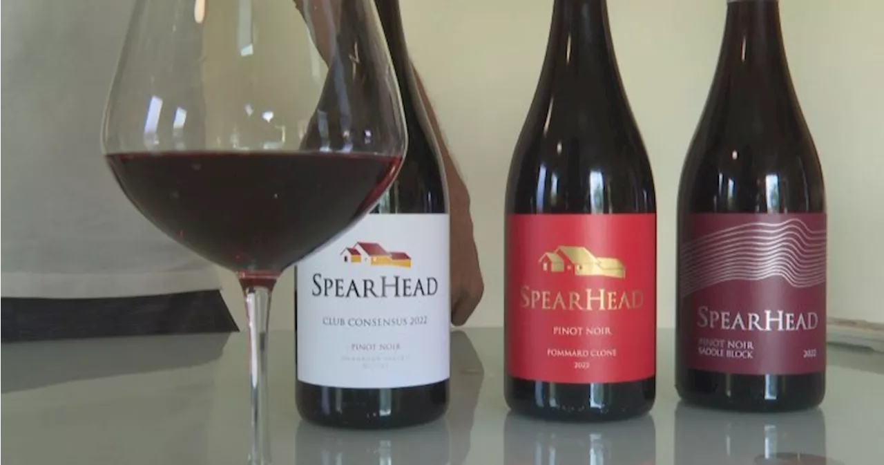 ‘Wizard with this grape’: Kelowna’s SpearHead Winery is triple winner in awards sweep