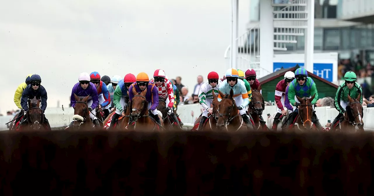 Galway Races Day One tips: Peter O'Hehir's selections for Ballybrit