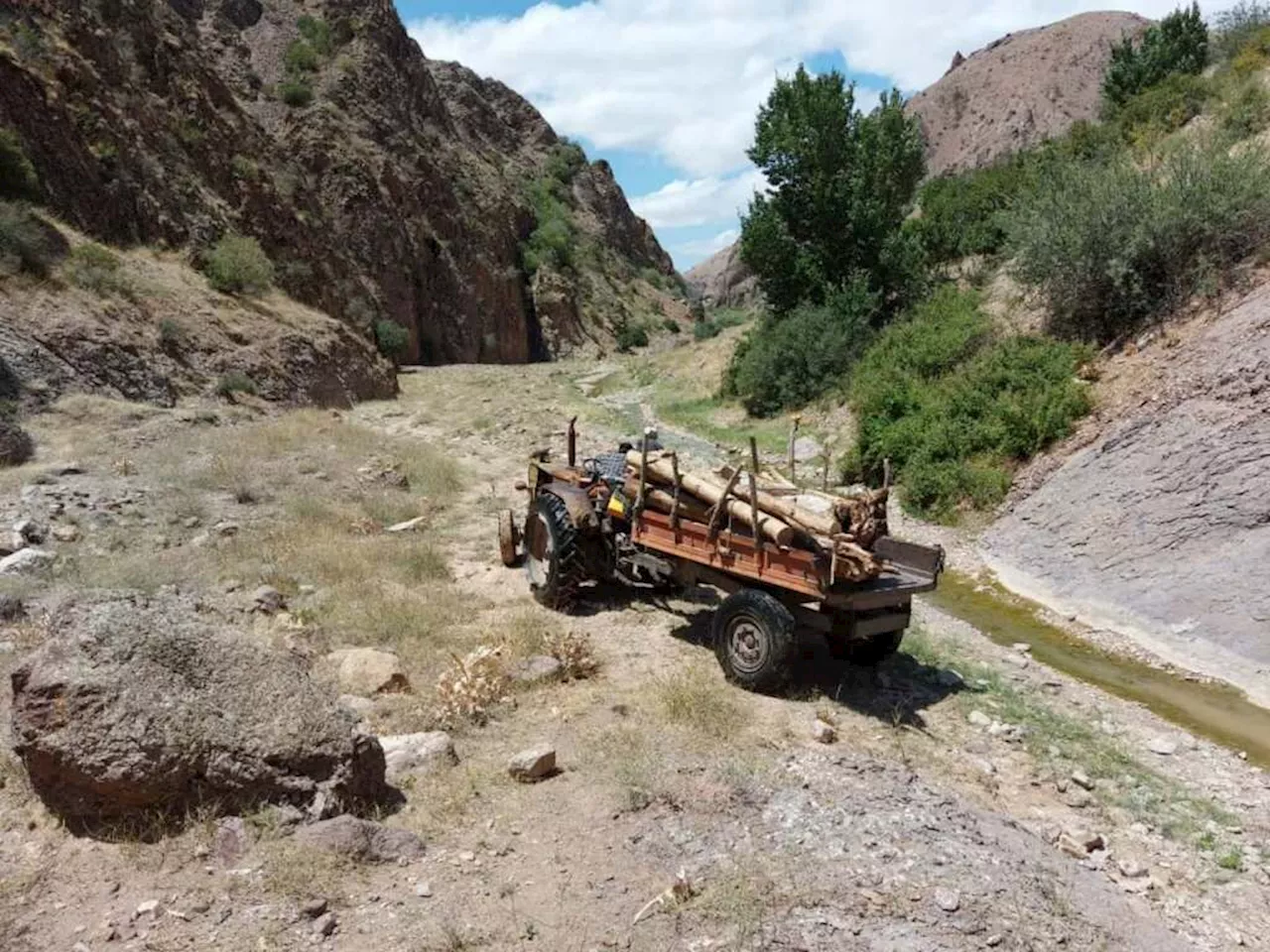 غارتگران منابع طبیعی خلخال دستگیر شدند