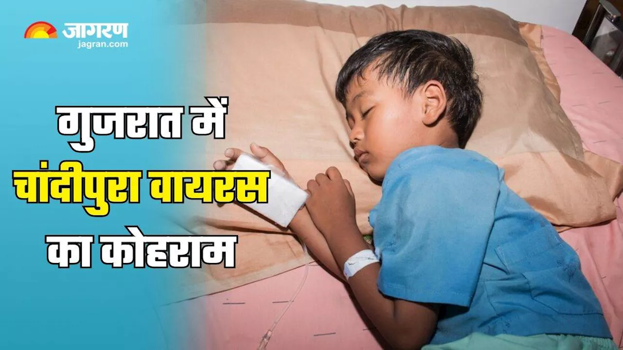 आखिर क्यों गुजरात बना हुआ है Chandipura Virus का हॉटस्पॉट? क्या है इसके पीछे की वजह