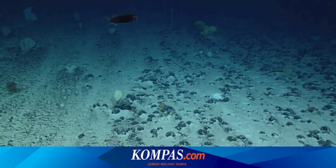 Studi Temukan Logam di Laut Dalam Hasilkan Oksigen