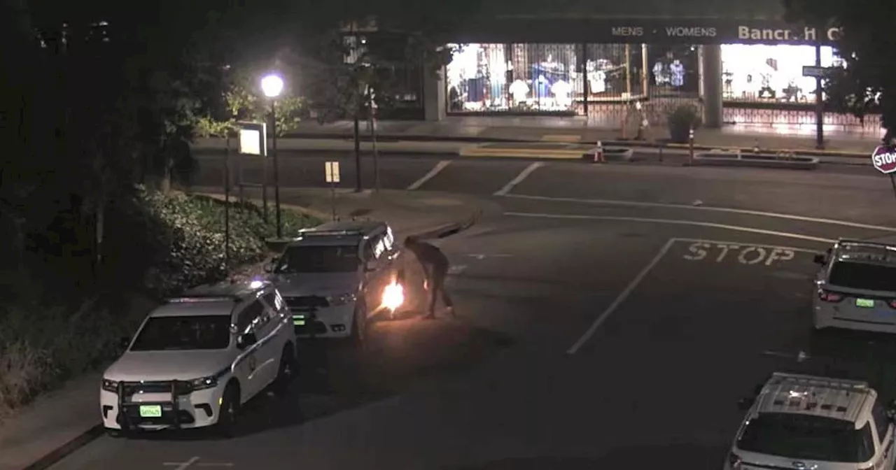 Man facing federal charges in firebombing of UC Berkeley police vehicle