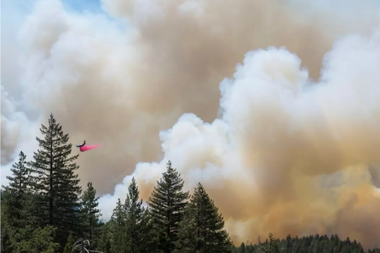 Wildfire smoke may be worse for your brain than other air pollution, study says