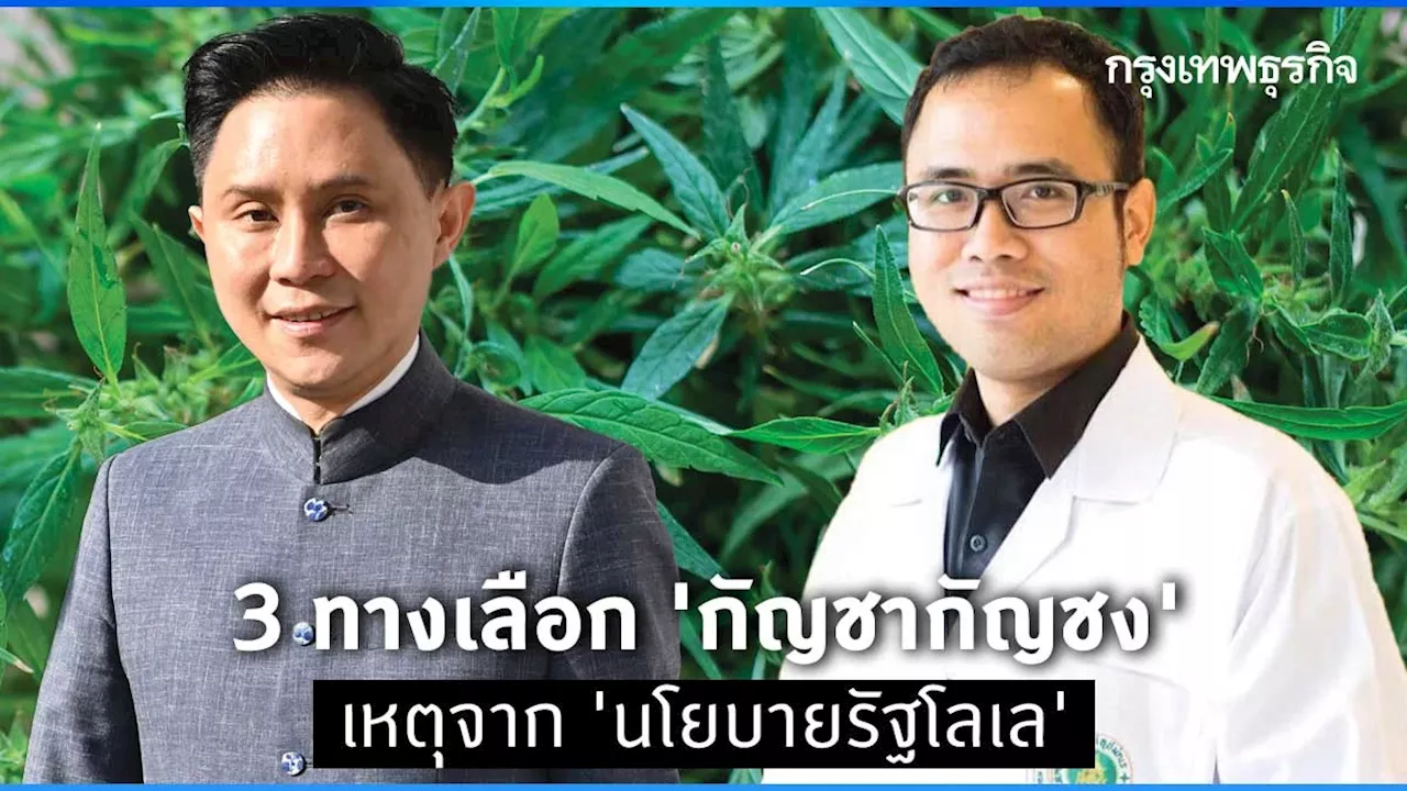 3 ทางเลือก“กัญชากัญชง” วันที่'นโยบายรัฐโลเล' คำของนายกฯ 'สับสน'