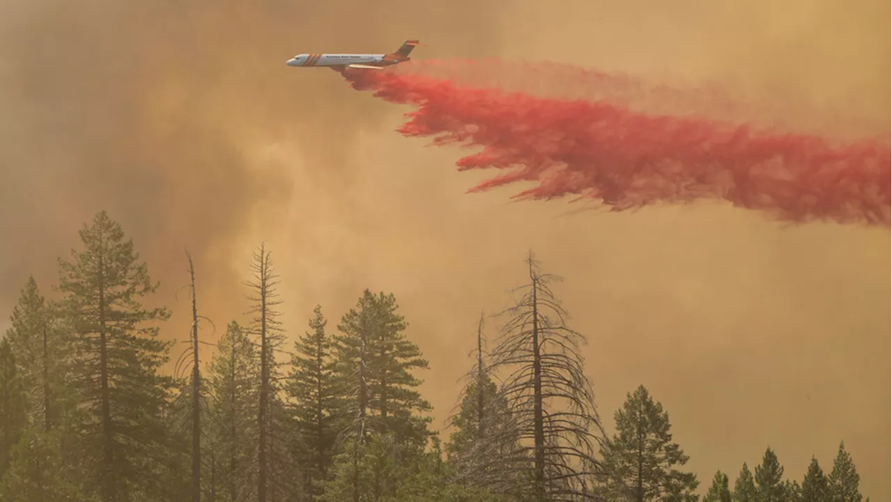 Firefighters gain ground on Park Fire, now the largest in California this year